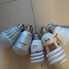 電球 セットの画像