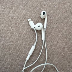 アップル　有線イヤホン 変換アダプタの画像