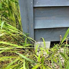 タイニーハウスの画像