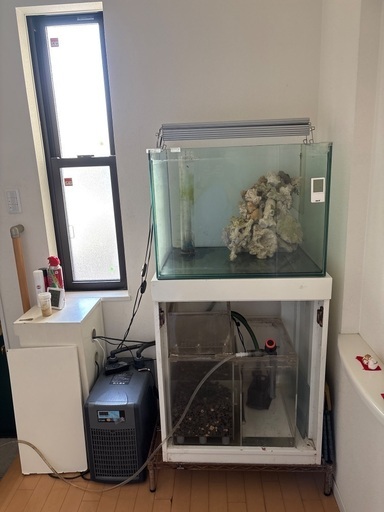海水魚飼育セット