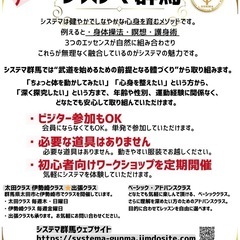 《システマ群馬》 〜健康・リラックス・護身を手に入れる、心と體のメソッド〜の画像
