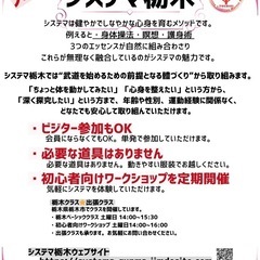 《システマ栃木》〜健康・リラックス・護身を手に入れる、心と體のメソッド〜の画像