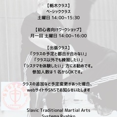 《システマ栃木》〜健康・リラックス・護身を手に入れる、心と體のメソッド〜の画像