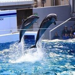 40・50代 水族館♪ ～1人参加～【品川】💖