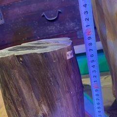 カイズカイブキの玉切り　の画像