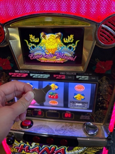 ★本日14時までに取引出来る方限定価格★