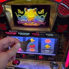 スロット実機 【ドラゴンハナハナ】の画像