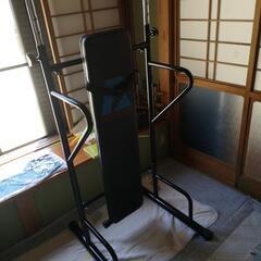 懸垂、ダンベル２０キロ×２セットの画像
