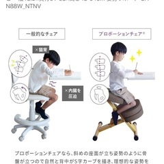 宮武製作所 プロポーションチェア　ブルー　ナチュラルの画像