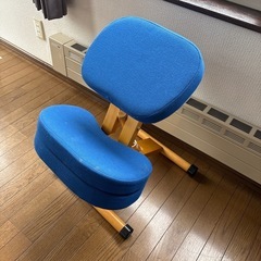 宮武製作所 プロポーションチェア　ブルー　ナチュラルの画像