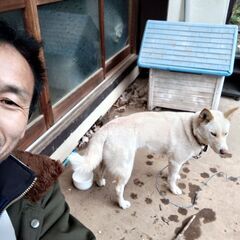 ワンコを飼ってる方＆旅好きな方