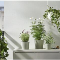 IKEA　BROKSPIREA ブロークスピレア

の画像