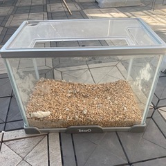 水槽　砂利つき　あげます　　の画像