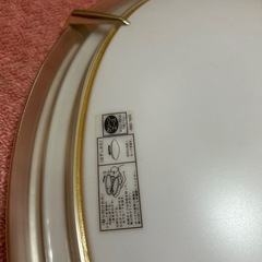 大きめシーリングライトの画像