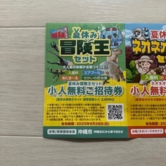 冒険王＋ネオネオ探検隊　無料招待券1枚の画像