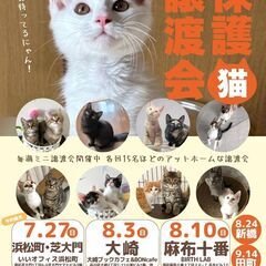 みなとねこ保護猫ミニ譲渡会＠大崎ブックカフェ　(15:00-17...