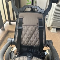 キャノピー付き三輪車　Benebeneの画像