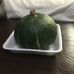 かぼちゃの画像