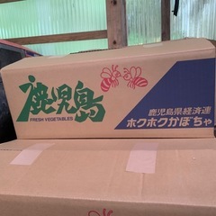 【販売】栗カボチャ　栗五郎　出荷残りのＢ級品　4個セット　22日〜24日渡し限定の画像