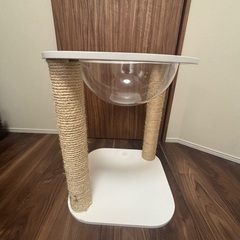 猫爪研ぎの画像