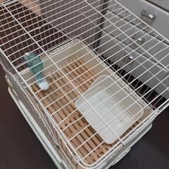 うさぎ用ゲージの画像