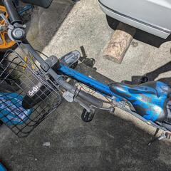 自転車　子供の画像
