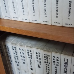 文豪達の豪華版大型本の画像