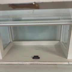 ガラスの見せる収納ケースの画像