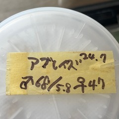 アブレイズ　♂65mm単品　即ブリOKの画像