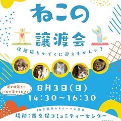 保護猫ちゃん譲渡会
