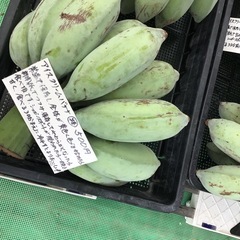 アイスクリームバナナの画像