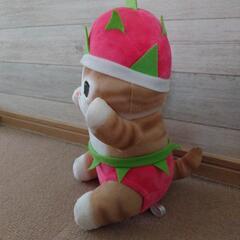 モフサンド　フルーツにゃん　ドラゴンフルーツの画像