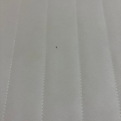 無印　シングルサイズ　ベッドの画像
