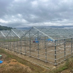 入社祝金５万円⭐︎１名募集中⭐︎温室ビニールハウス建設業の画像