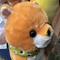 ぬいぐるみ5体の画像
