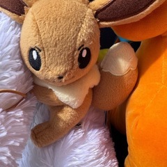 ぬいぐるみ5体の画像