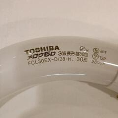 0719-037 TOSHIBA　蛍光灯の画像