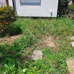 自宅庭先と外壁周りの草むしり／報酬4,000円（交通費込み）