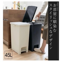 45L ゴミ箱　2個セットの画像