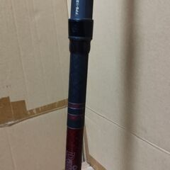 KEVLAR CARBON 海峡 100号 330の画像
