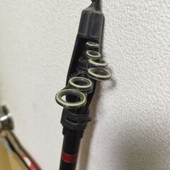KEVLAR CARBON 海峡 100号 330の画像