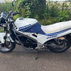 VTZ250 MC15 ホンダ　旧車　実働　オリジナル外装の画像
