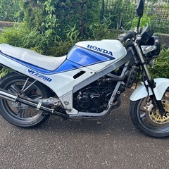 VTZ250 MC15 ホンダ　旧車　実働　オリジナル外装の画像