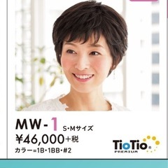 MW-1 Mサイズ ショートウィッグ #2トーン医療用ウィッグ　LEONKA fit me レオンカ　フィットミーの画像