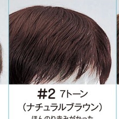 MW-1 Mサイズ ショートウィッグ #2トーン医療用ウィッグ　LEONKA fit me レオンカ　フィットミーの画像