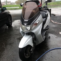 スズキ　スカイウェイブ250の画像