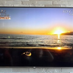 LG 55型の画像