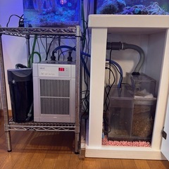 海水魚の水槽及び生体一式の画像