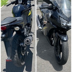 ニンジャ250r 後期型 限定カラーの画像