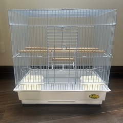 インコゲージの画像